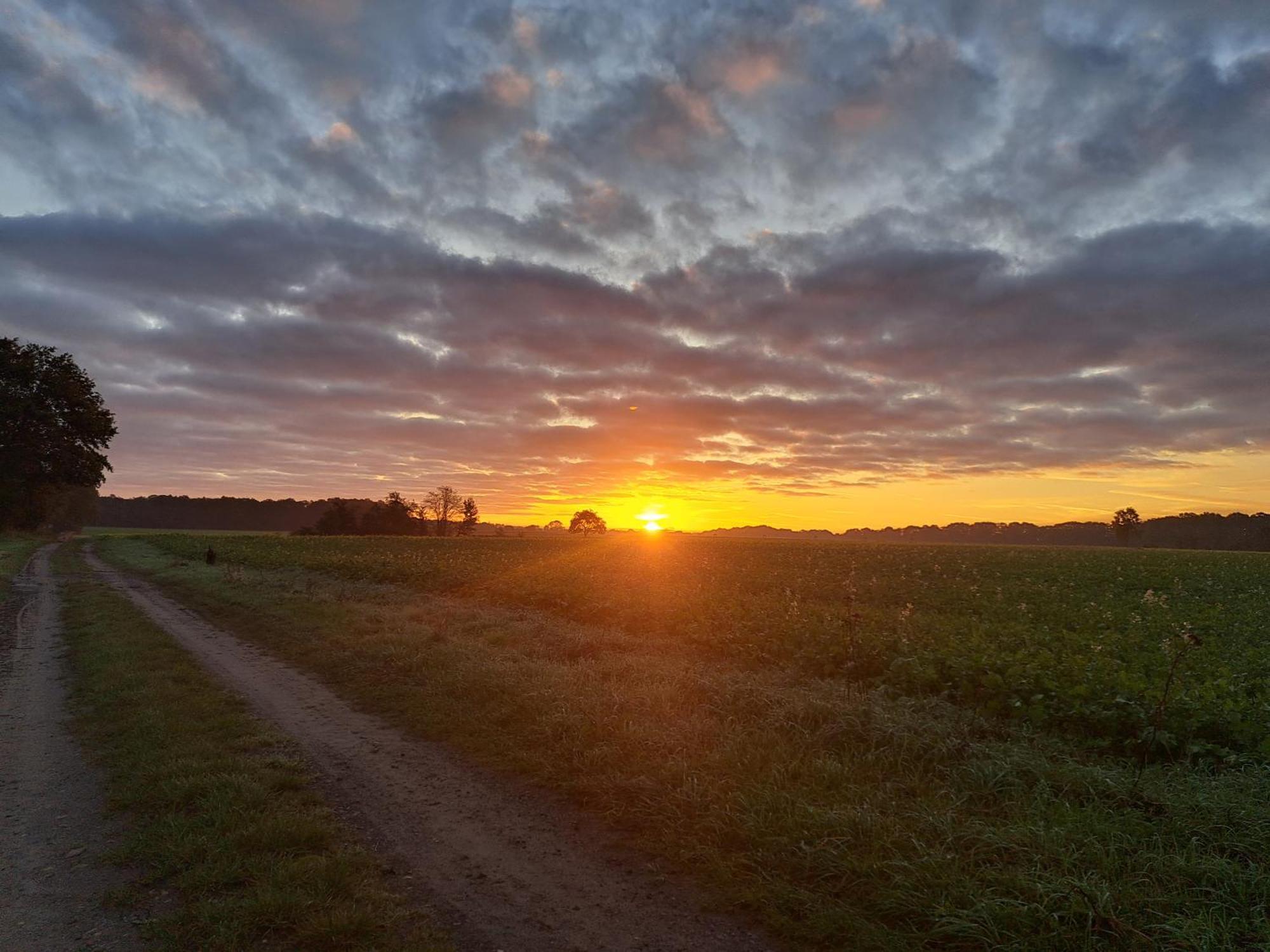 Gabis Ferienwohnung Bendingbostel Exteriér fotografie